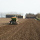 Sowing spring barley 2012